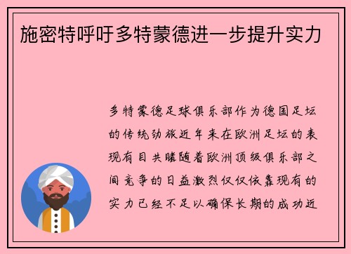 施密特呼吁多特蒙德进一步提升实力